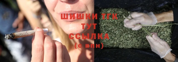 Альфа ПВП Протвино