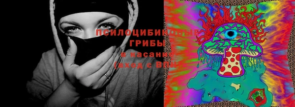 крисы Приозерск