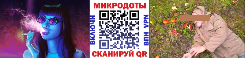 Псилоцибиновые грибы Psilocybine cubensis  Нытва 
